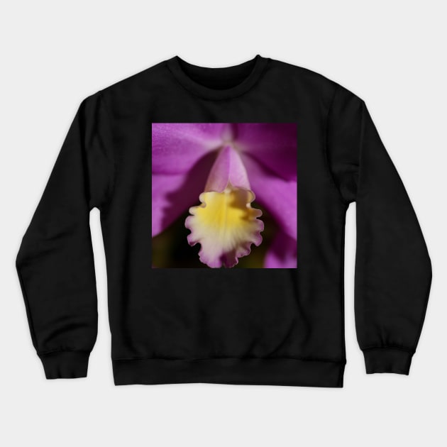 Purple & Lemon Orchid Crewneck Sweatshirt by Carole-Anne